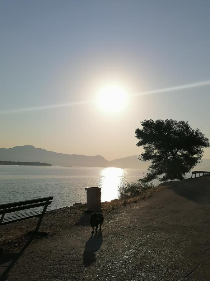 Apartmani Barnjak Trogir Exteriér fotografie